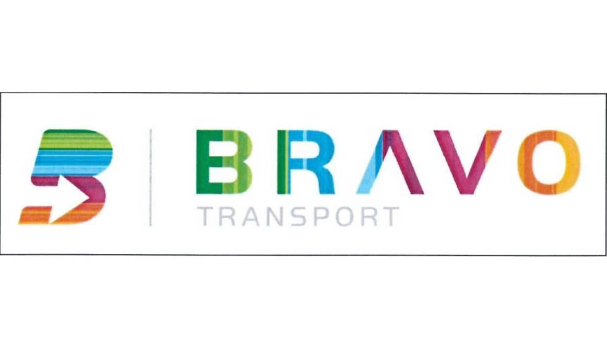 BRAVO Logo.JPG (52 KB)